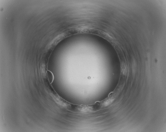 X0000076400670200610161206