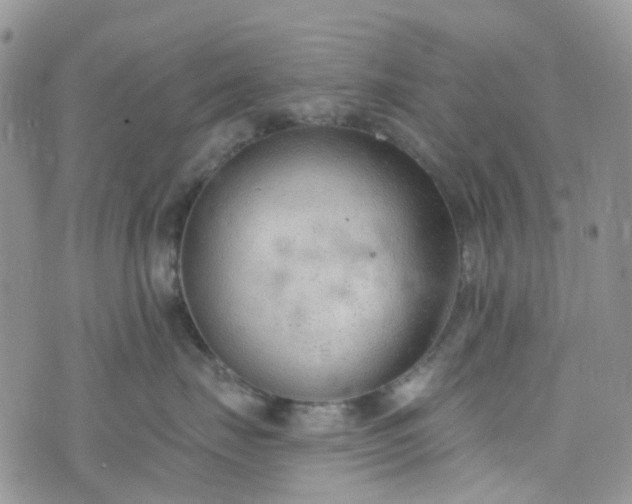 X0000076400671200610161206