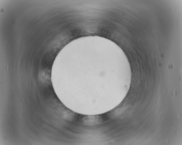 X0000076400672200610161206