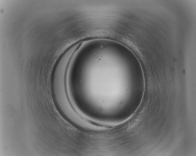 X0000076400673200610161206