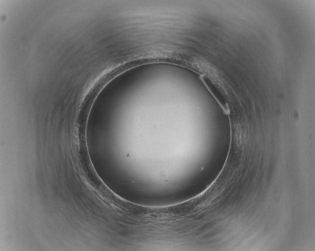 X0000076400676200610161206