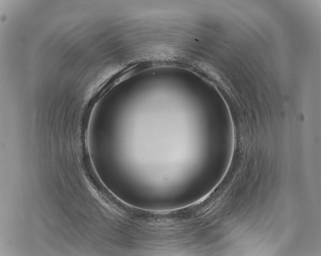 X0000076400677200610161206