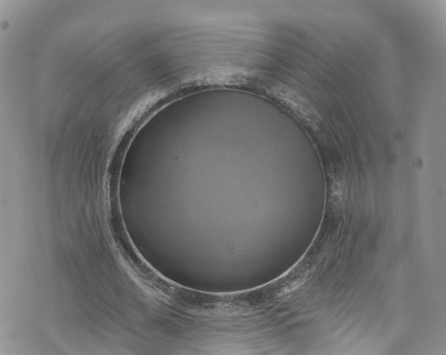 X0000076400678200610161206