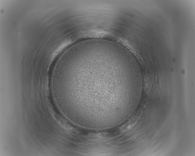 X0000076400679200610161206