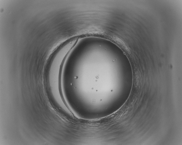 X0000076400680200610161206