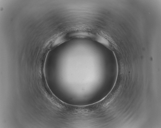 X0000076400681200610161206