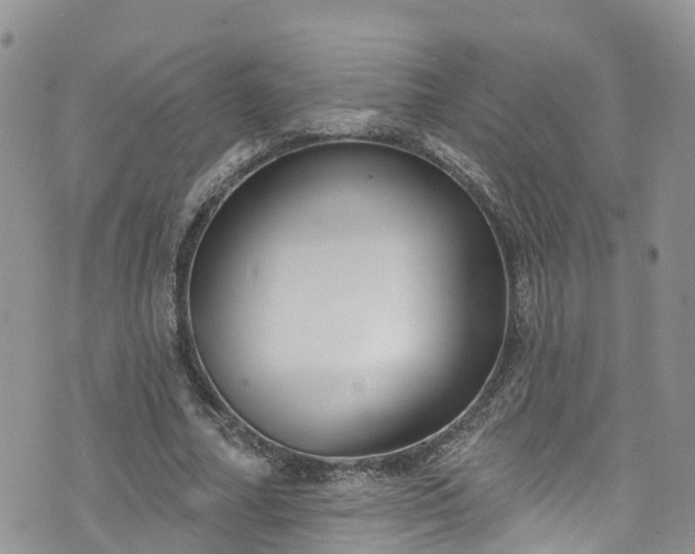 X0000076400682200610161206