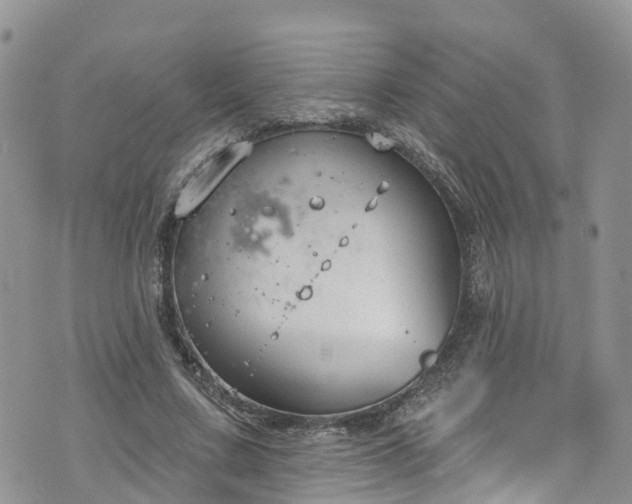 X0000076400683200610161205