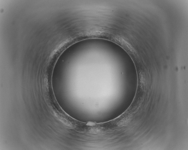 X0000076400684200610161205