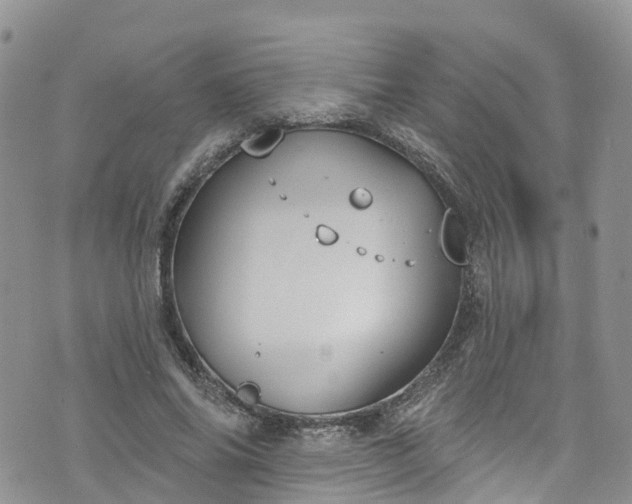 X0000076400686200610161205