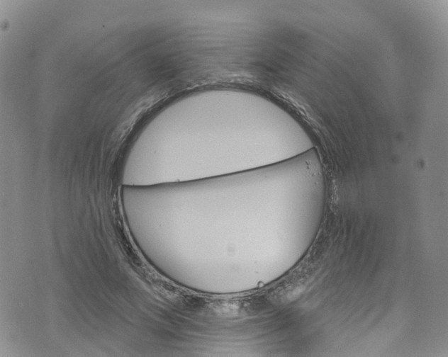 X0000076400687200610161205