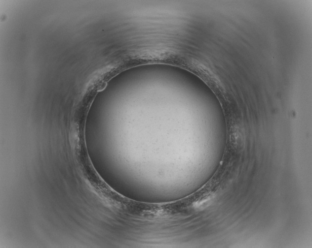 X0000076400688200610161205