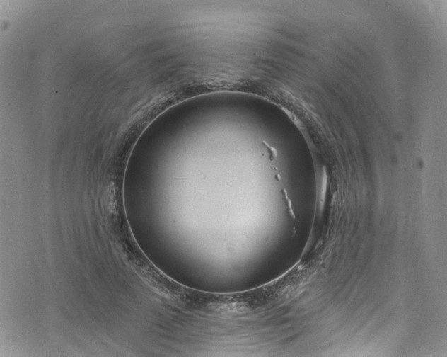 X0000076400689200610161205