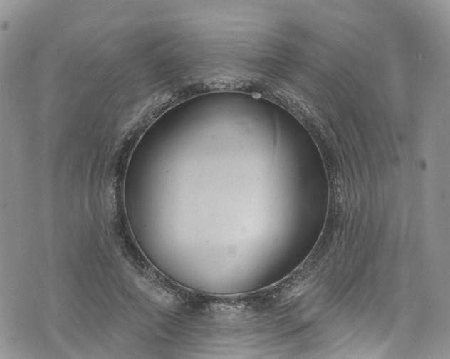 X0000076400690200610161205