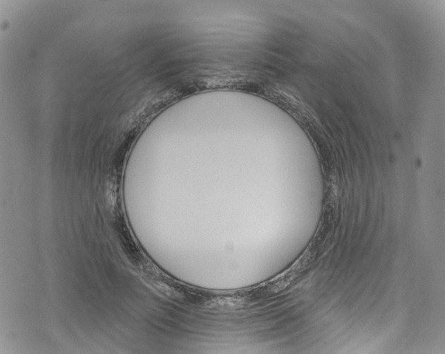 X0000076400691200610161205