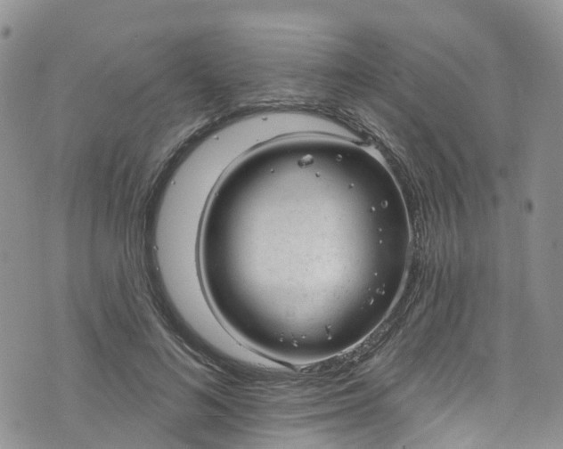 X0000076400692200610161205