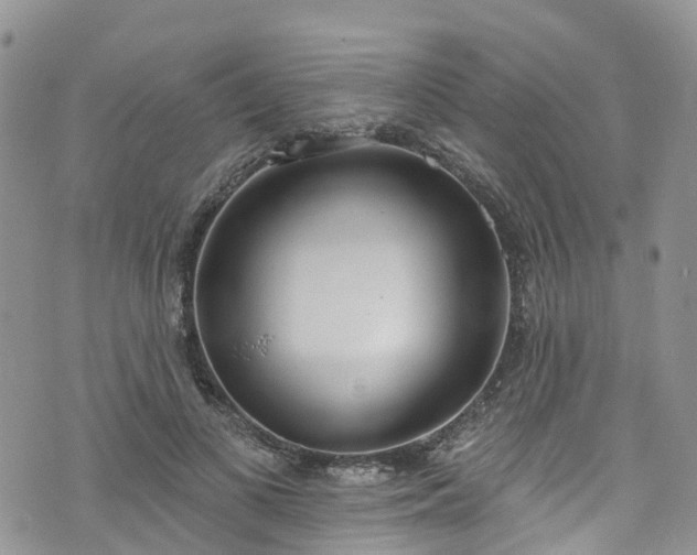 X0000076400693200610161205