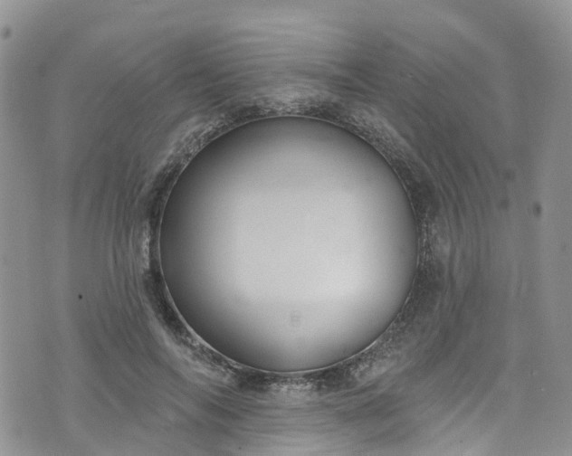 X0000076400694200610161205