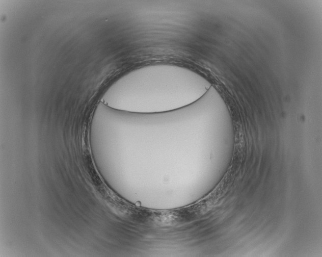 X0000076400695200610161205