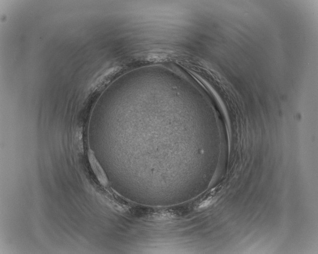 X0000076400696200610161205