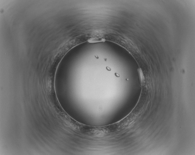 X0000076400697200610161205