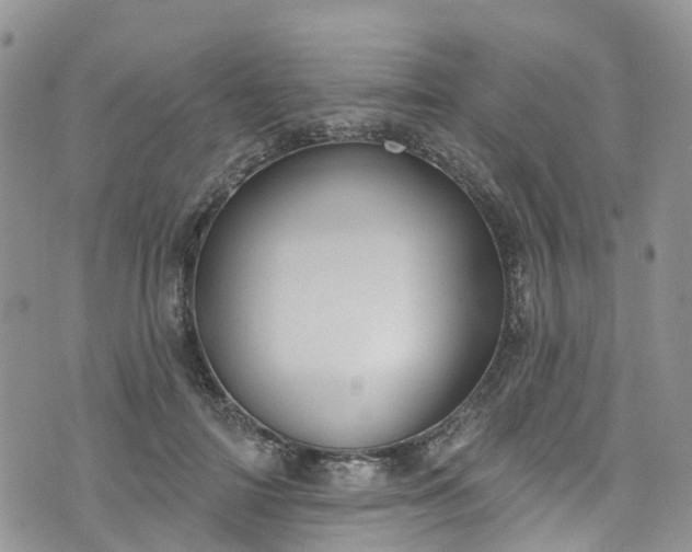 X0000076400698200610161205