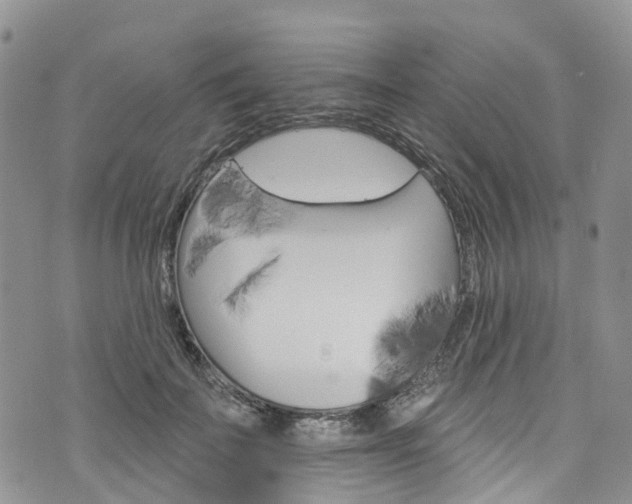 X0000076400699200610161205