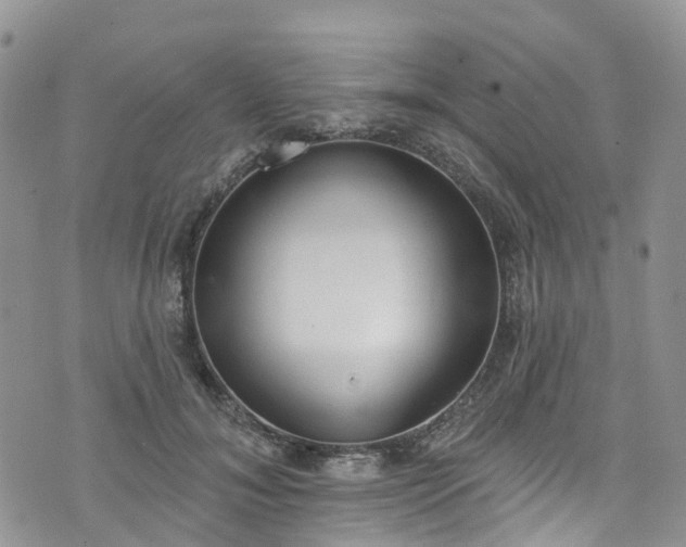 X0000076400700200610161205