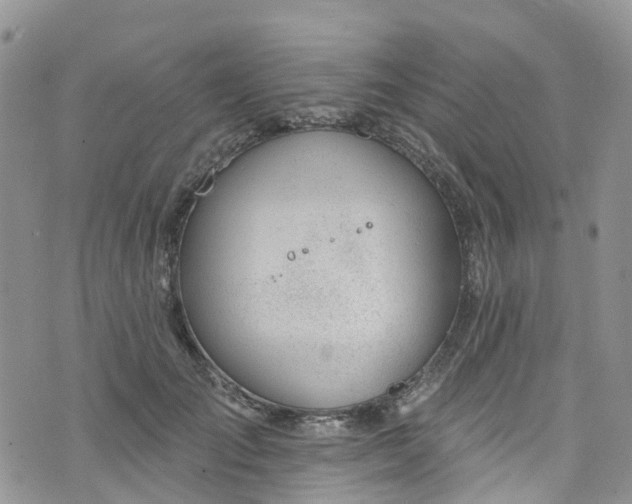 X0000076400701200610161205