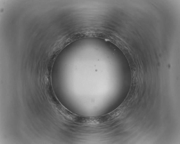 X0000076400702200610161205