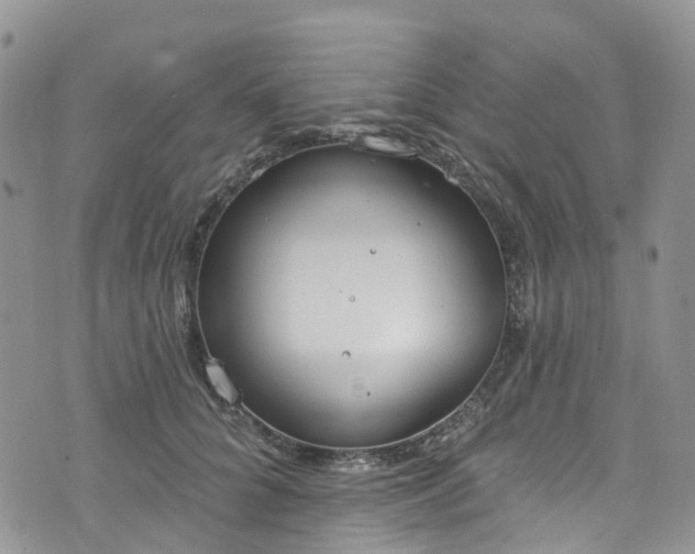 X0000076400704200610161205