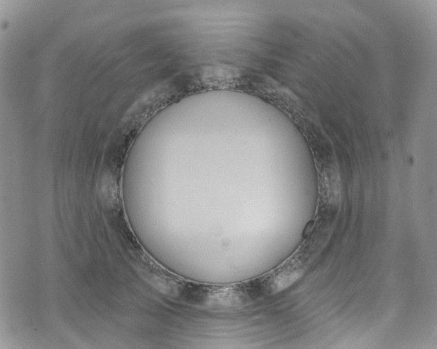 X0000076400705200610161205