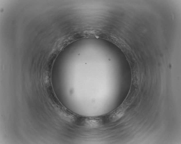 X0000076400706200610161205