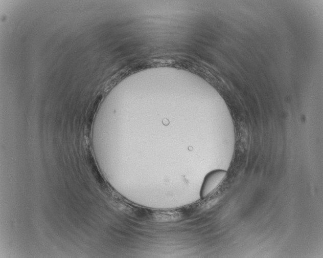 X0000076400707200610161205