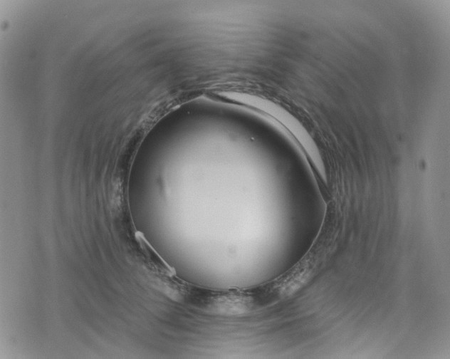 X0000076400708200610161205