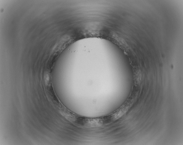 X0000076400709200610161205