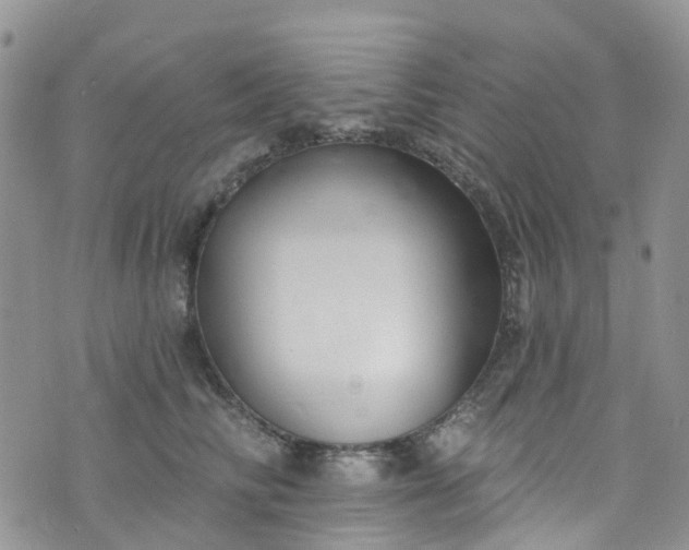 X0000076400710200610161205