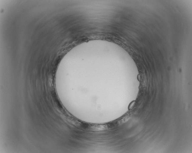 X0000076400711200610161205