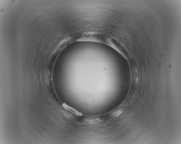 X0000076400712200610161205