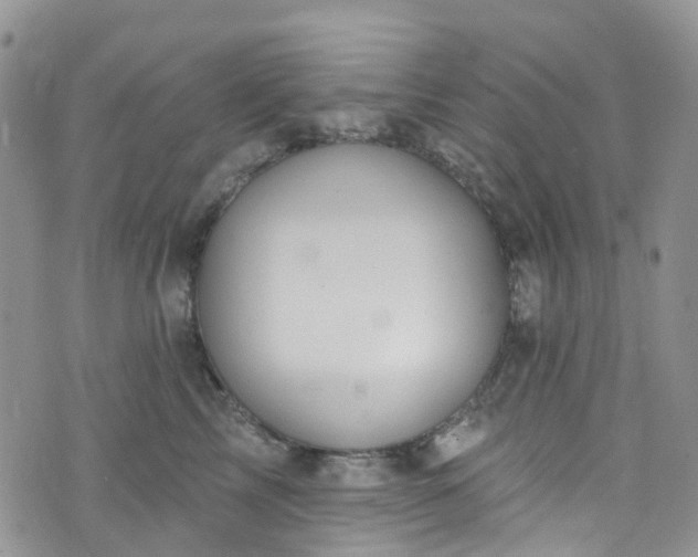 X0000076400713200610161205