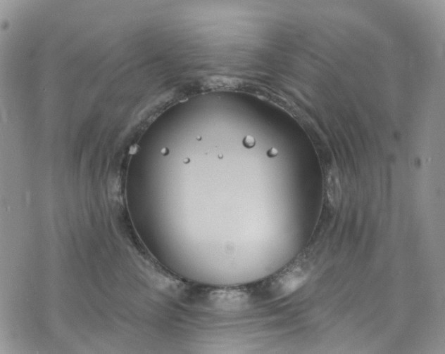 X0000076400714200610161205