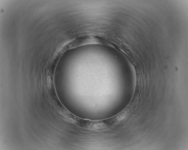 X0000076400716200610161205