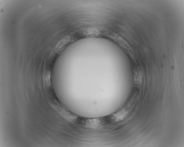 X0000076400717200610161205