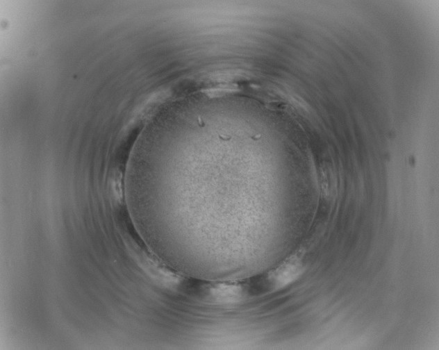 X0000076400718200610161205