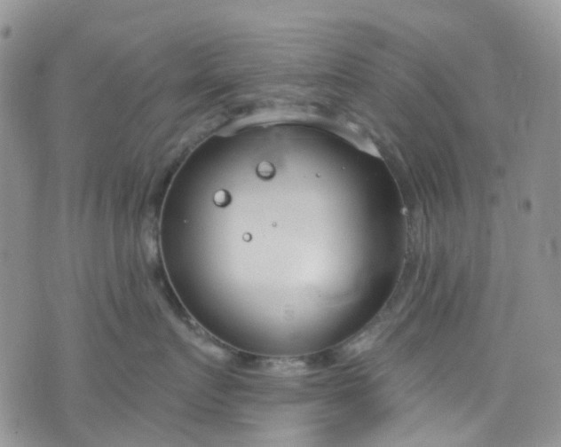 X0000076400719200610161205