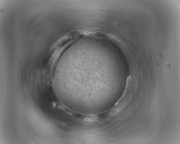 X0000076400720200610161205