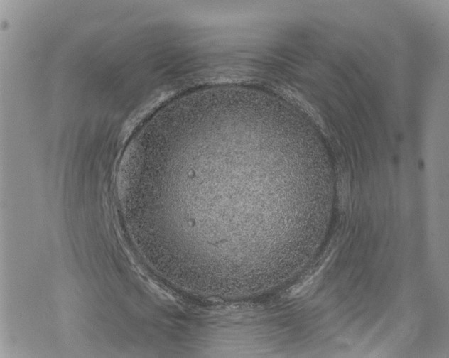 X0000076400721200610161204