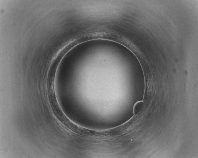 X0000076400722200610161204