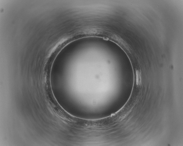 X0000076400723200610161204