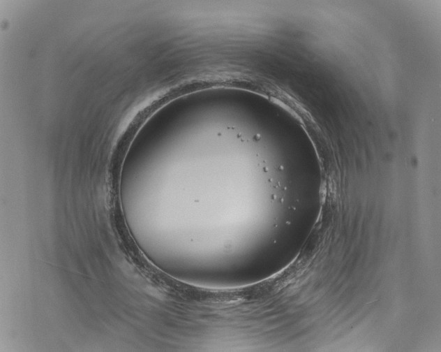 X0000076400724200610161204